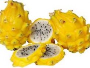 PITAHAYA AMARILLA